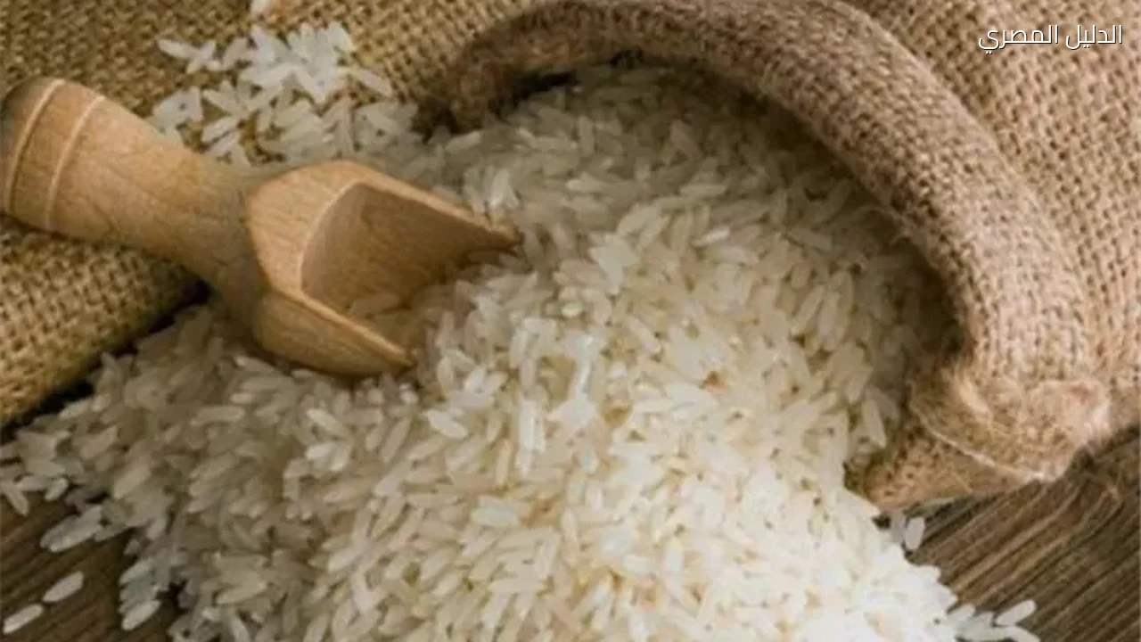 سعر الأرز اليوم في مصر يتراجع مع دخول المحصول الجديد