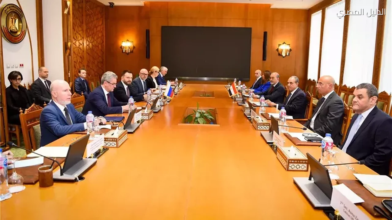 وزير الخارجية يبحث مع أوريشكين تفعيل المنطقة الروسية
