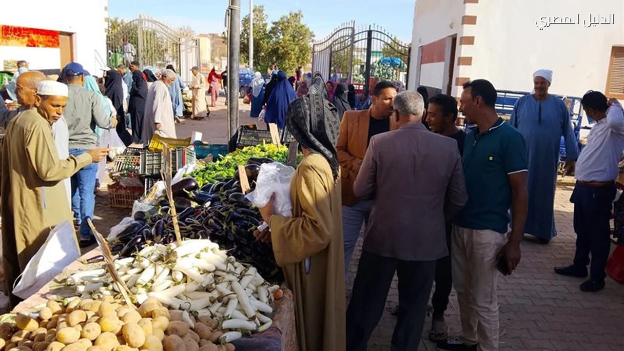 تموين الوادي الجديد تضبط 30 مخالفة في الخارجة وبلاط