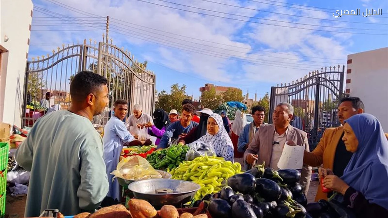 تموين الوادي الجديد يحرر 137 محضرًا ويضبط لحومًا فاسدة