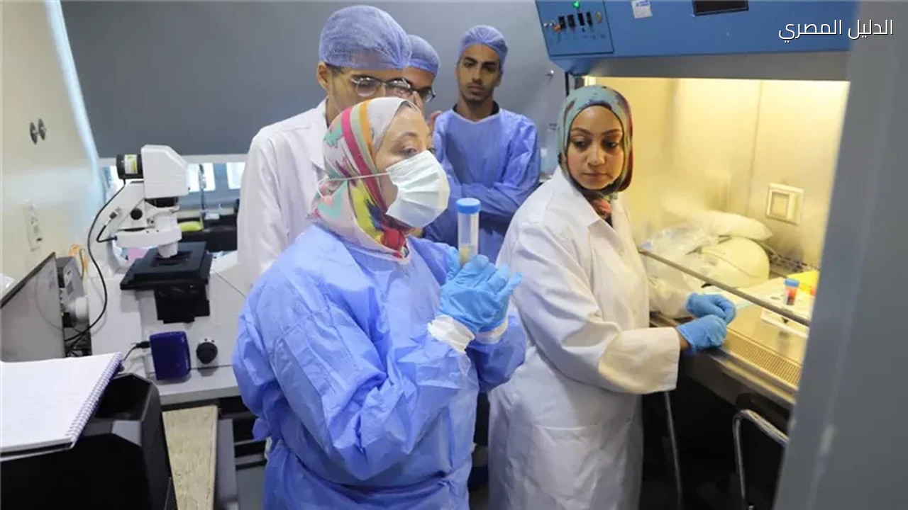 جامعة عين شمس تعزز ريادتها البحثية ببرامج تدريبية