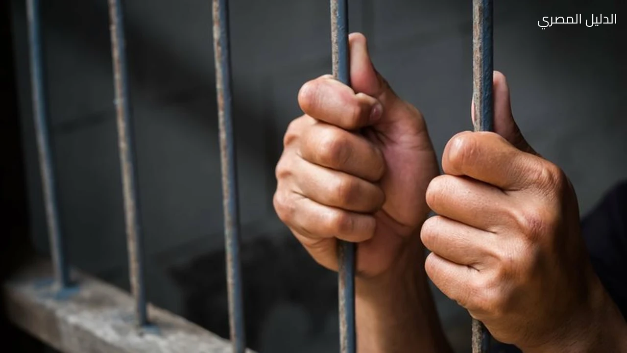 جريمة المنيا الاستئناف تنظر إعدام عاطل ذبح أمه