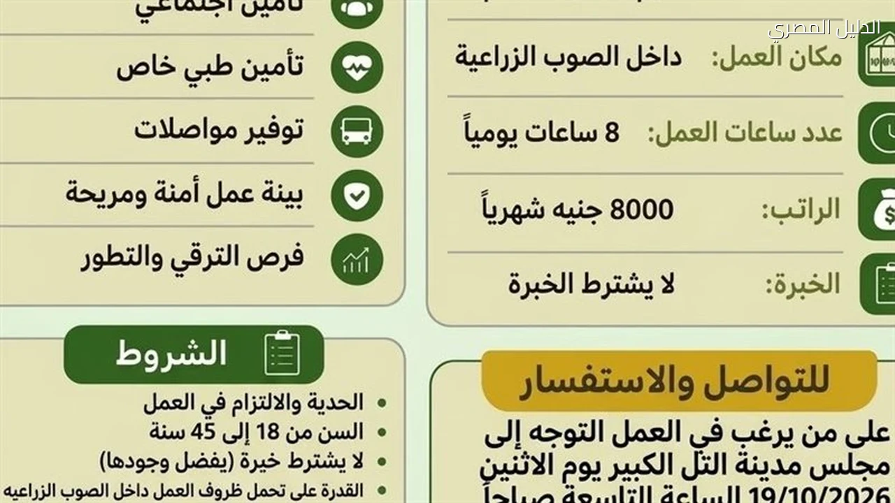فرص عمل بالإسماعيلية في شركات تصدير المحاصيل الزراعية