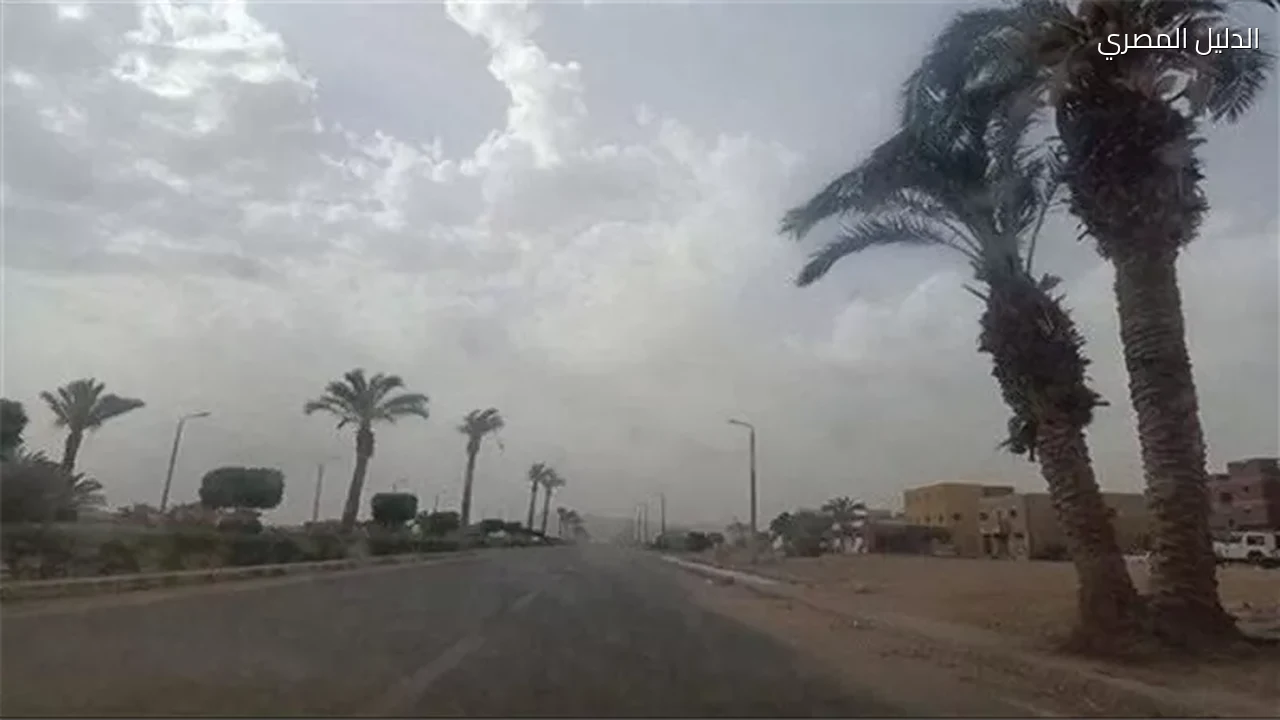 حالة الطقس اليوم الثلاثاء أمطار وشبورة ورياح على أغلب الأنحاء