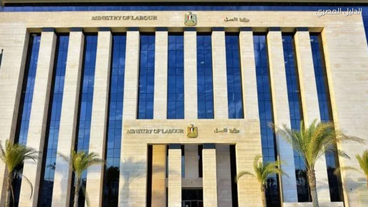 حتى سن 45 عامًا.. وزارة العمل تطرح فرصًا وظيفية جديدة