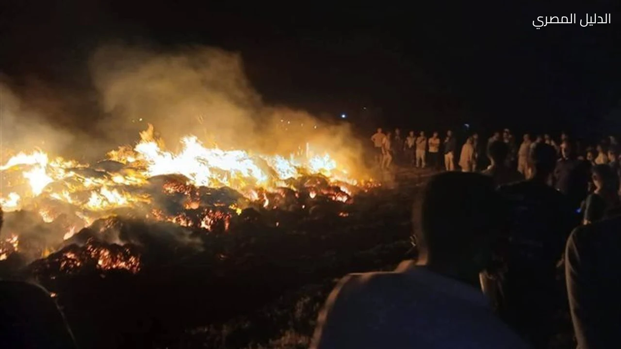 حريق هائل يلتهم محصول بصل 10 أفدنة في الشرقية
