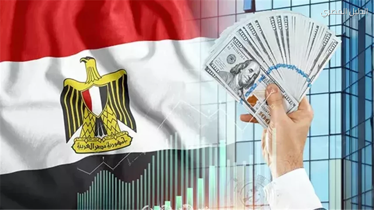 استقرار السياسات الاقتصادية في مصر شرط لجذب الاستثمار