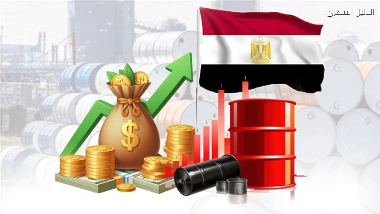تعزيز مصادر النقد الأجنبي والطاقة ضرورة لمواجهة الصدمات الخارجية