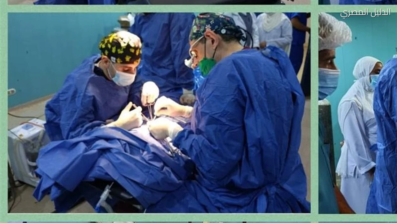 جامعة القاهرة تقدم خدمات مجانية لـ 4500 مواطن بالواحات البحرية