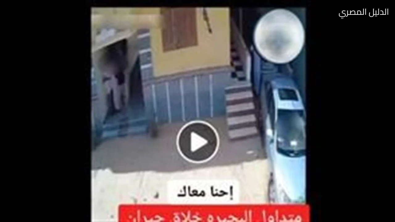 خلافات الجيرة تشعل مشاجرة بالعصي والحجارة في البحيرة