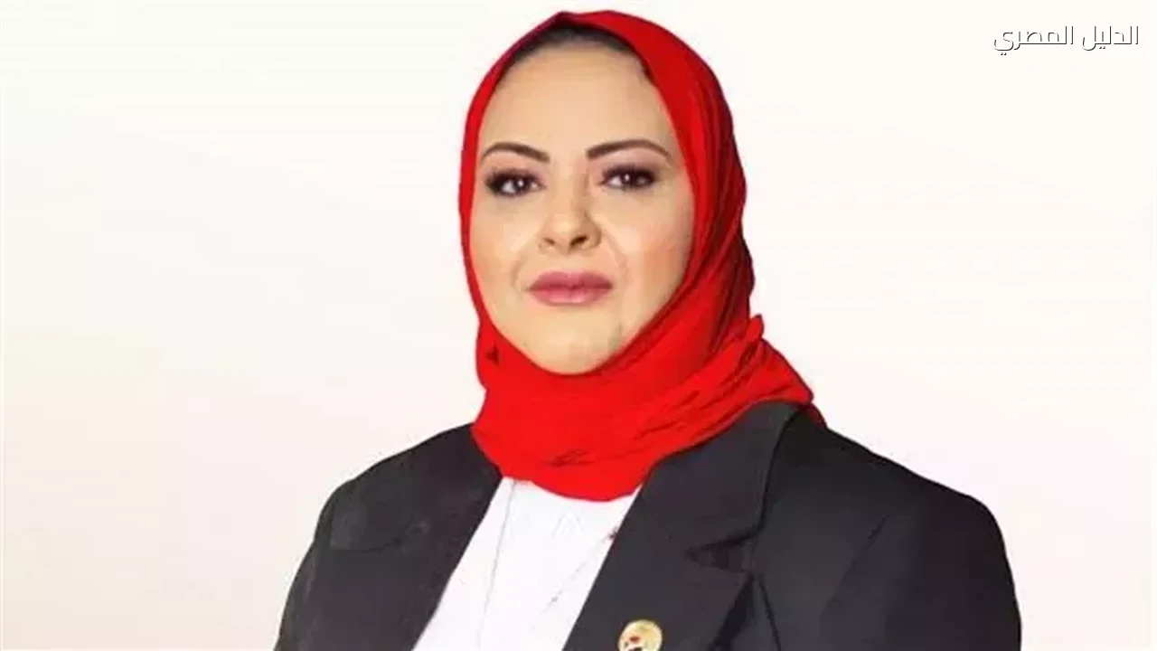 ديانا أبو سحلي تتجه لشغل مقعد أماني أبو سحلي بالنواب