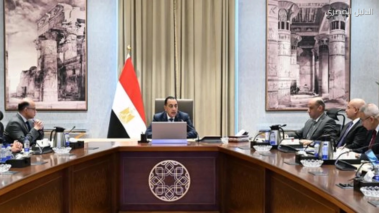 رئيس الوزراء يستعرض محاور جلسة استثمار منتج وصناعة تنافسية