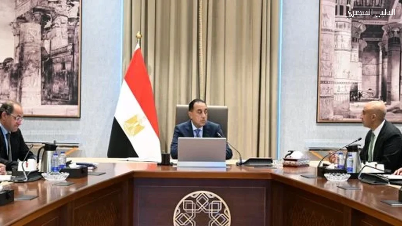 رئيس الوزراء يكلف بتحويل ما بين 200 إلى 250 مدرسة لمدارس التكنولوجيا التطبيقية