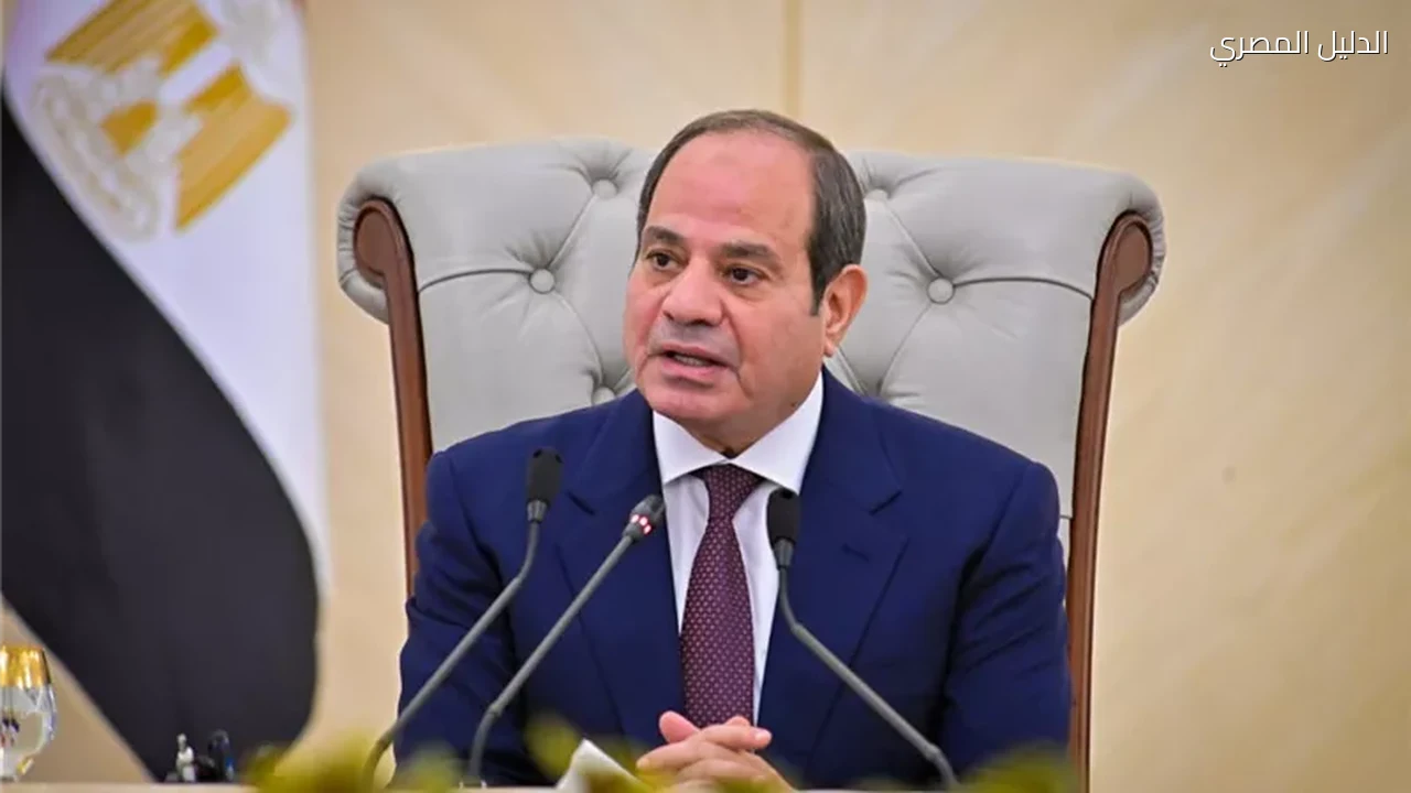 منتدى مصر 2026 السيسي يدعو للوعي وحماية الدولة