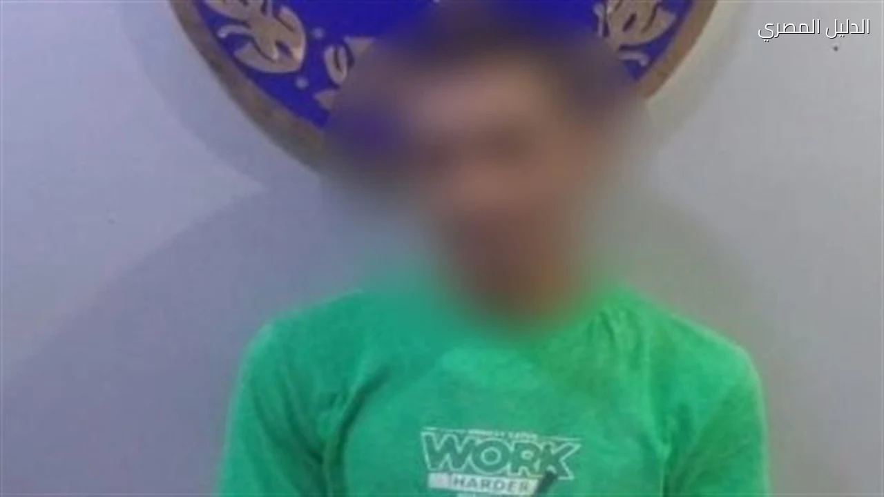 سائق ميكروباص بالإسكندرية يعتدي على فتاة ويسرق هاتفها