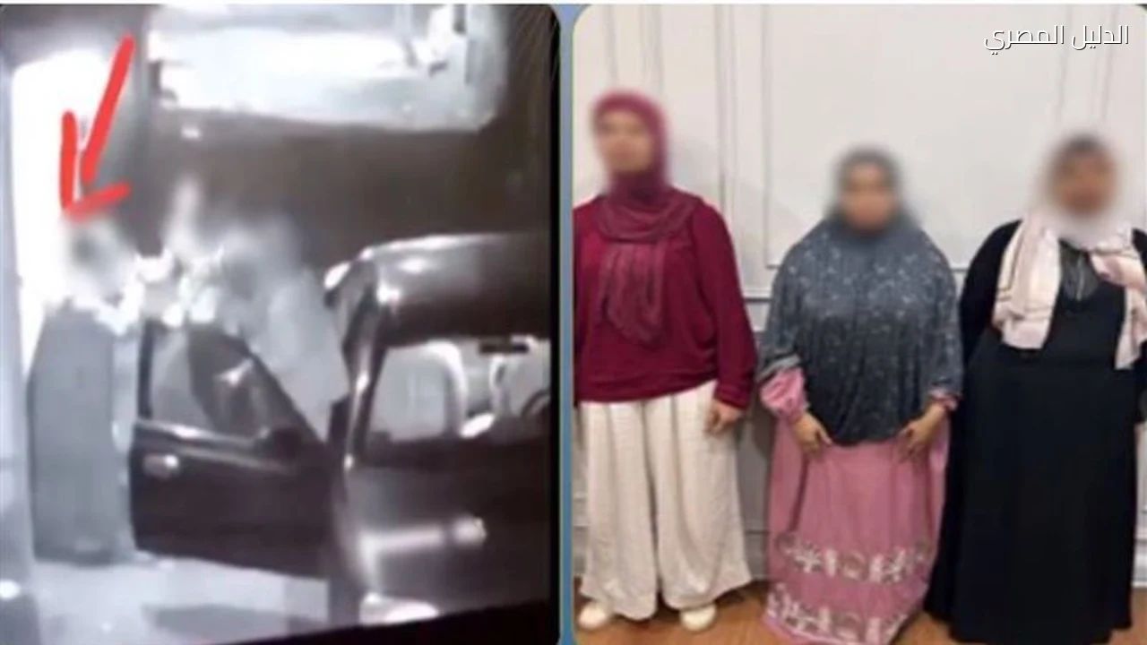 مشاجرة عائلية في المنوفية تنتهي بتلفيات سيارة وتدخل الأمن