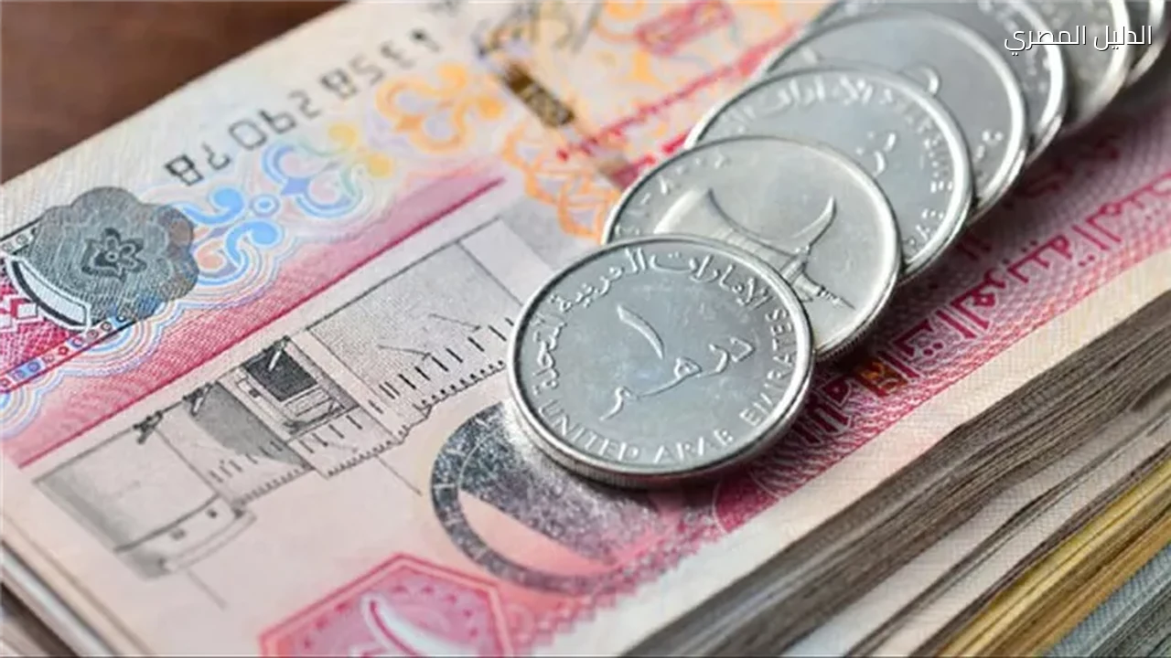 سعر الدرهم الإماراتي مقابل الجنيه في البنوك المصرية اليوم