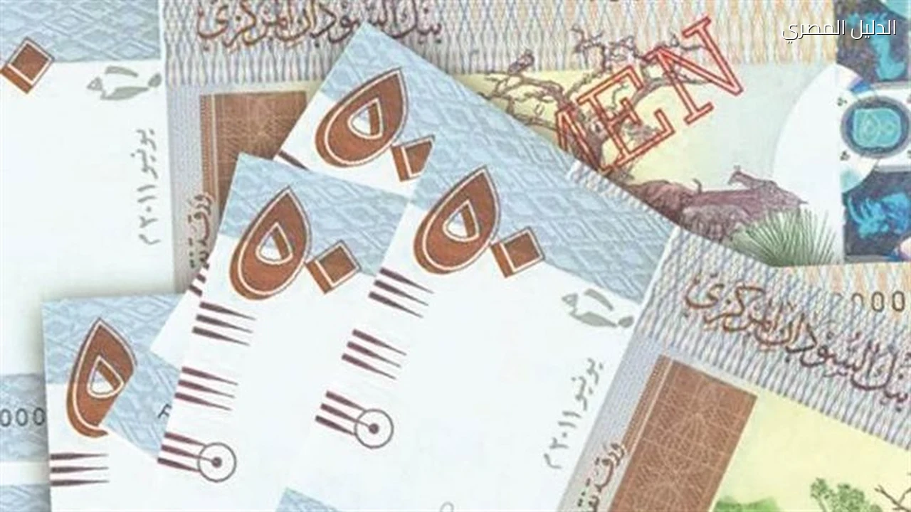 سعر الدولار أمام الجنيه السوداني يستقر في بنك السودان المركزي