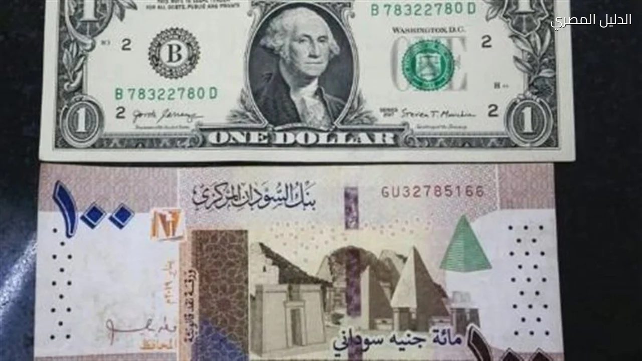 سعر الدولار أمام الجنيه السوداني في بنك السودان المركزي
