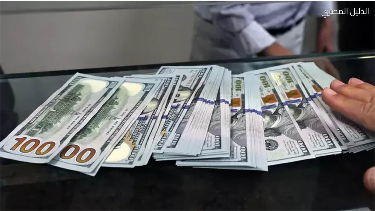 سعر الدولار أمام الجنيه اليوم الثلاثاء 13 أكتوبر 2026