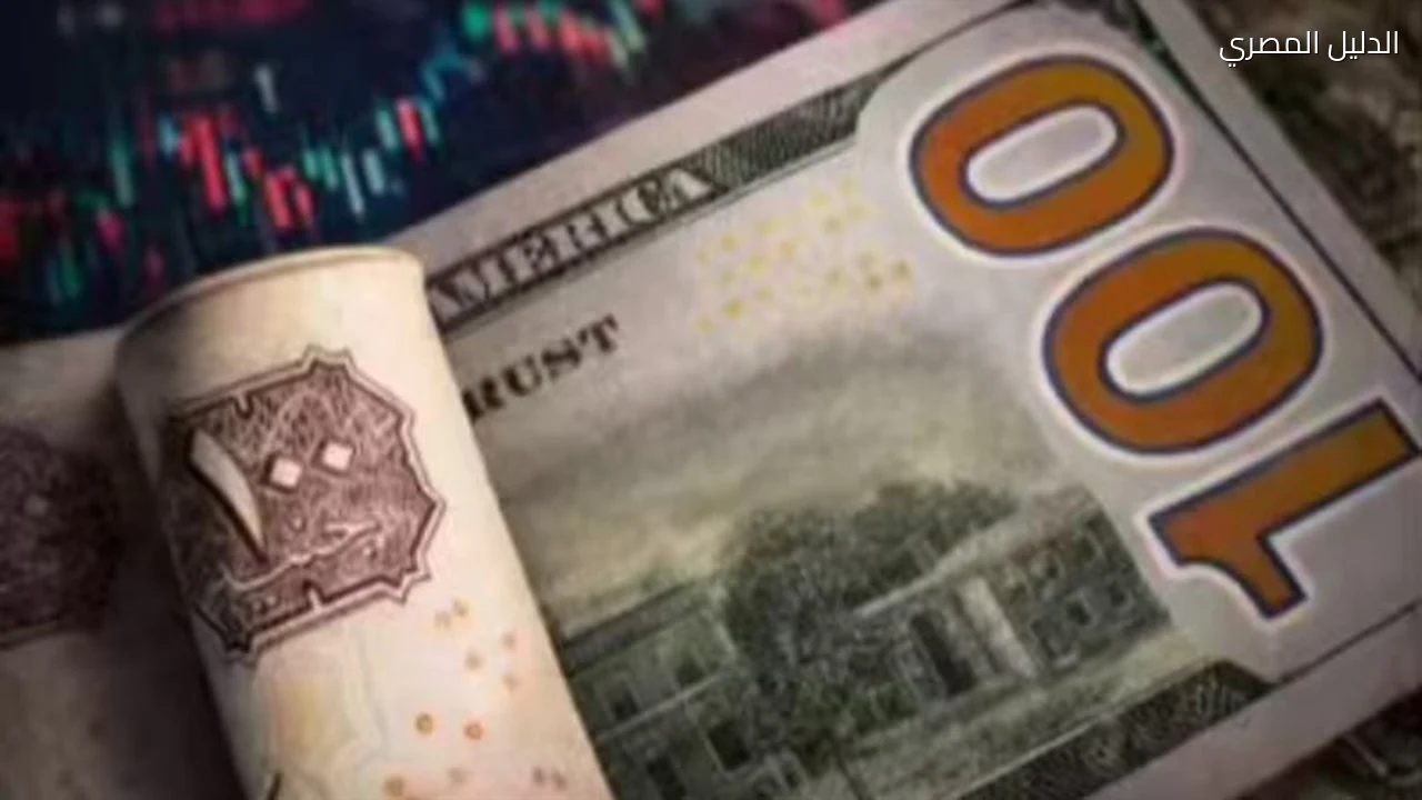 سعر الدولار في البنوك المصرية يستقر عند هذه المستويات