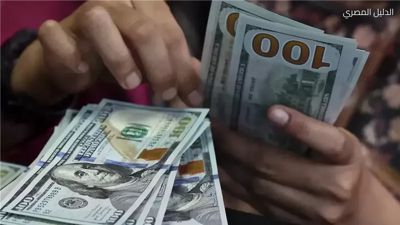 سعر الدولار يستقر في المركزي والبنوك المصرية