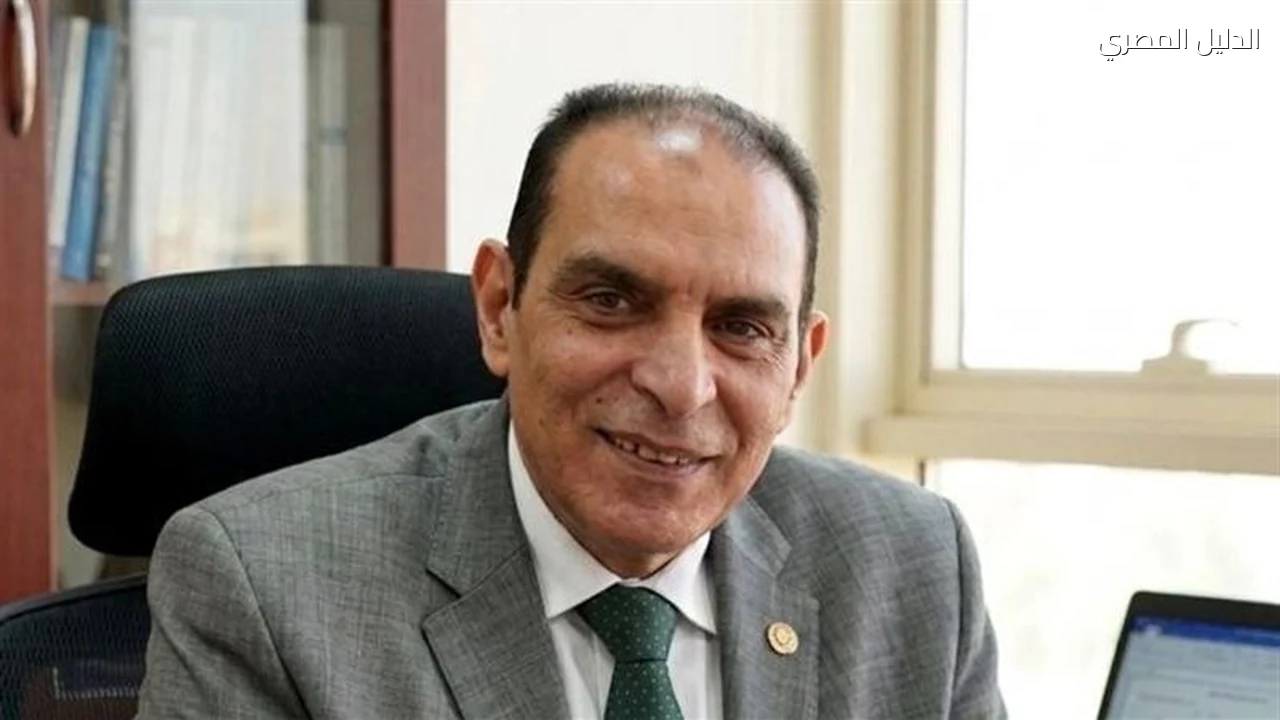 شعبة المستوردين تيسير الجمارك والربط اللوجستي يعززان الاستثمار الأفريقي