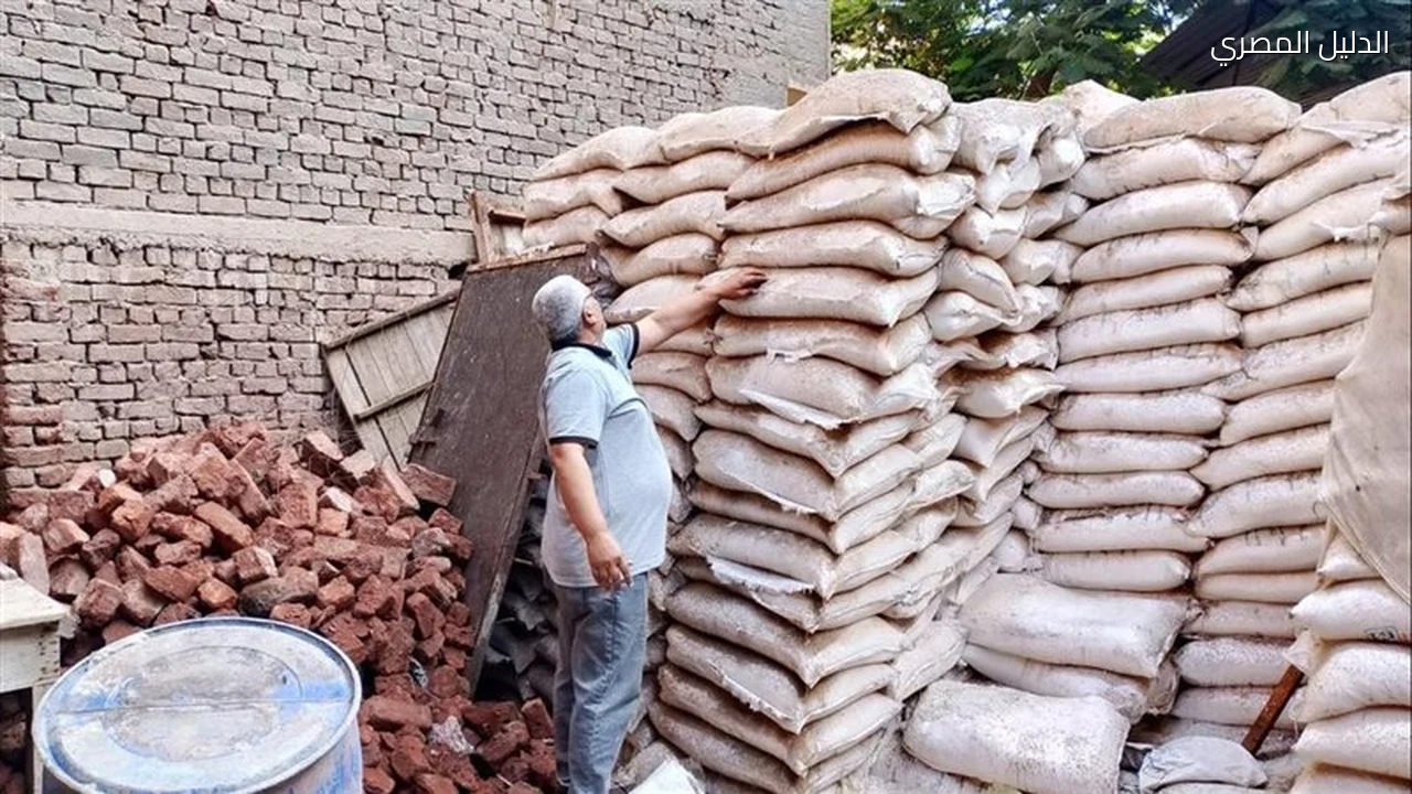 ضبط 10 8 طن أغذية مخالفة ومنتهية الصلاحية بالدقهلية