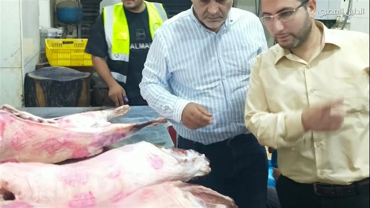 ضبط 2 25 طن لحوم ومصنعات غذائية مخالفة بغرب شبرا الخيمة