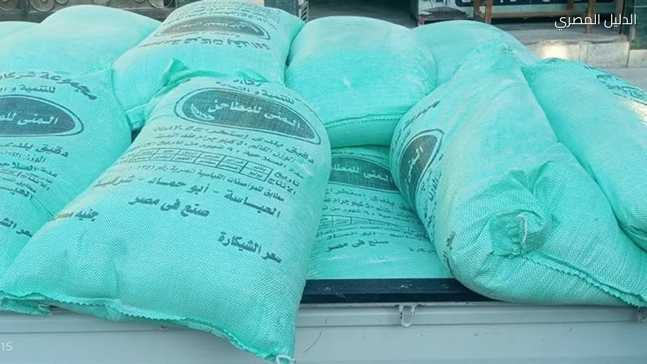 ضبط 30 شيكارة دقيق مدعم و18 محضرًا للمخابز بالشرقية