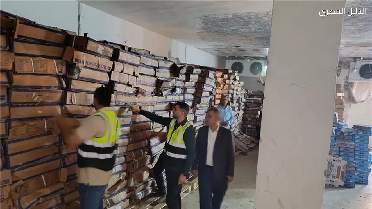 ضبط 41 طنًا من أسماك الهارنج الفاسدة بالغربية