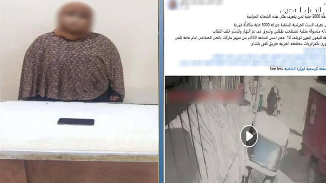 ضبط سيدة سرقت هاتف صاحب محل بأسلوب المغافلة في الغربية