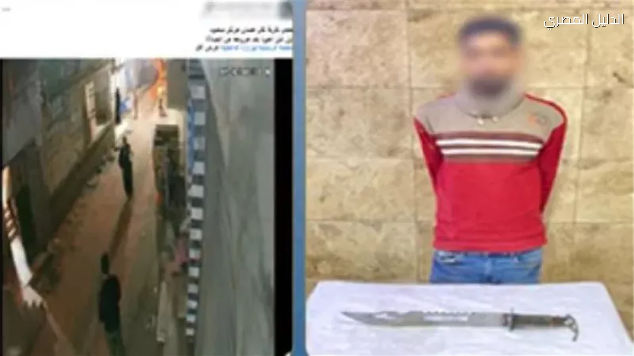 ضبط عامل تعدى على فني تكييف بسلاح أبيض في سمنود