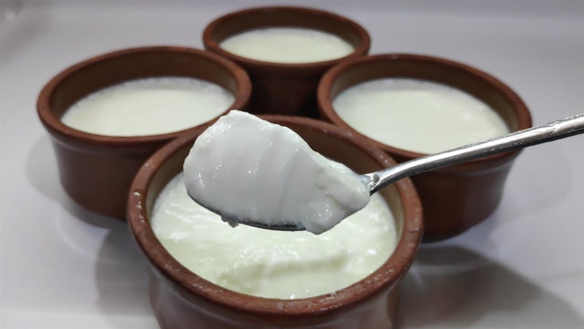 طريقة عمل الزبادي