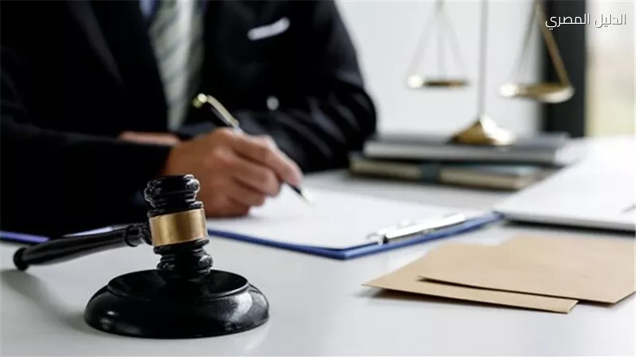 طعنه داخل سوبر ماركت بالمهندسين قاتل الطفل عبد الرحمن أمام الاستئناف غدا