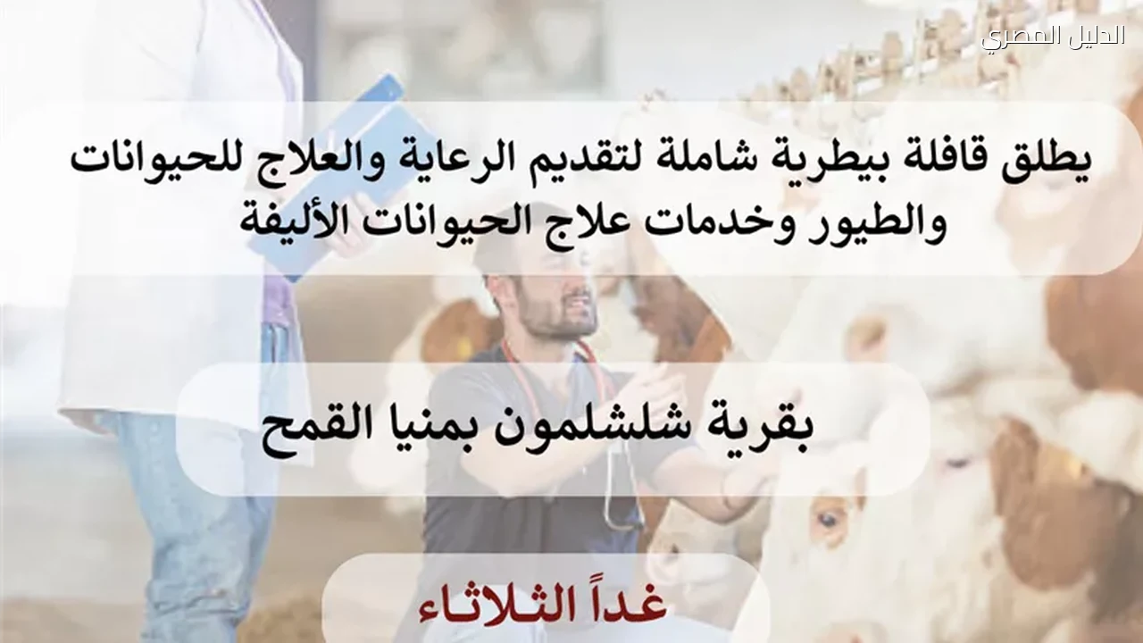 قافلة بيطرية شاملة تنطلق غدا بقرية شلشلمون بالشرقية