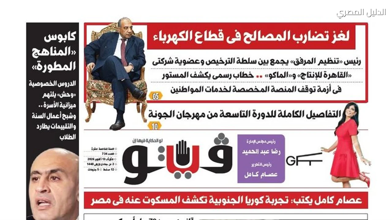 فيتو تكشف لغز تضارب المصالح في قطاع الكهرباء