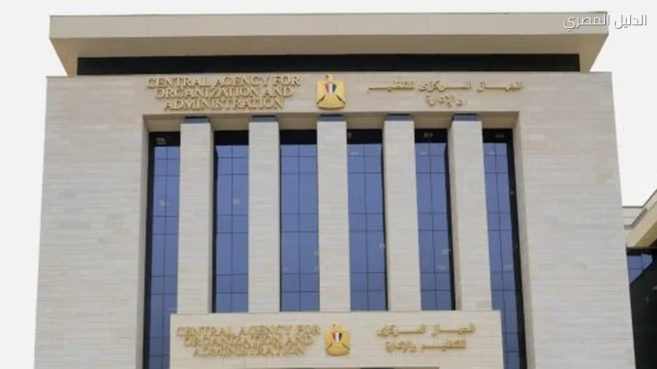 قبل غلق باب التقديم اليوم.. وظائف حكومية جديدة