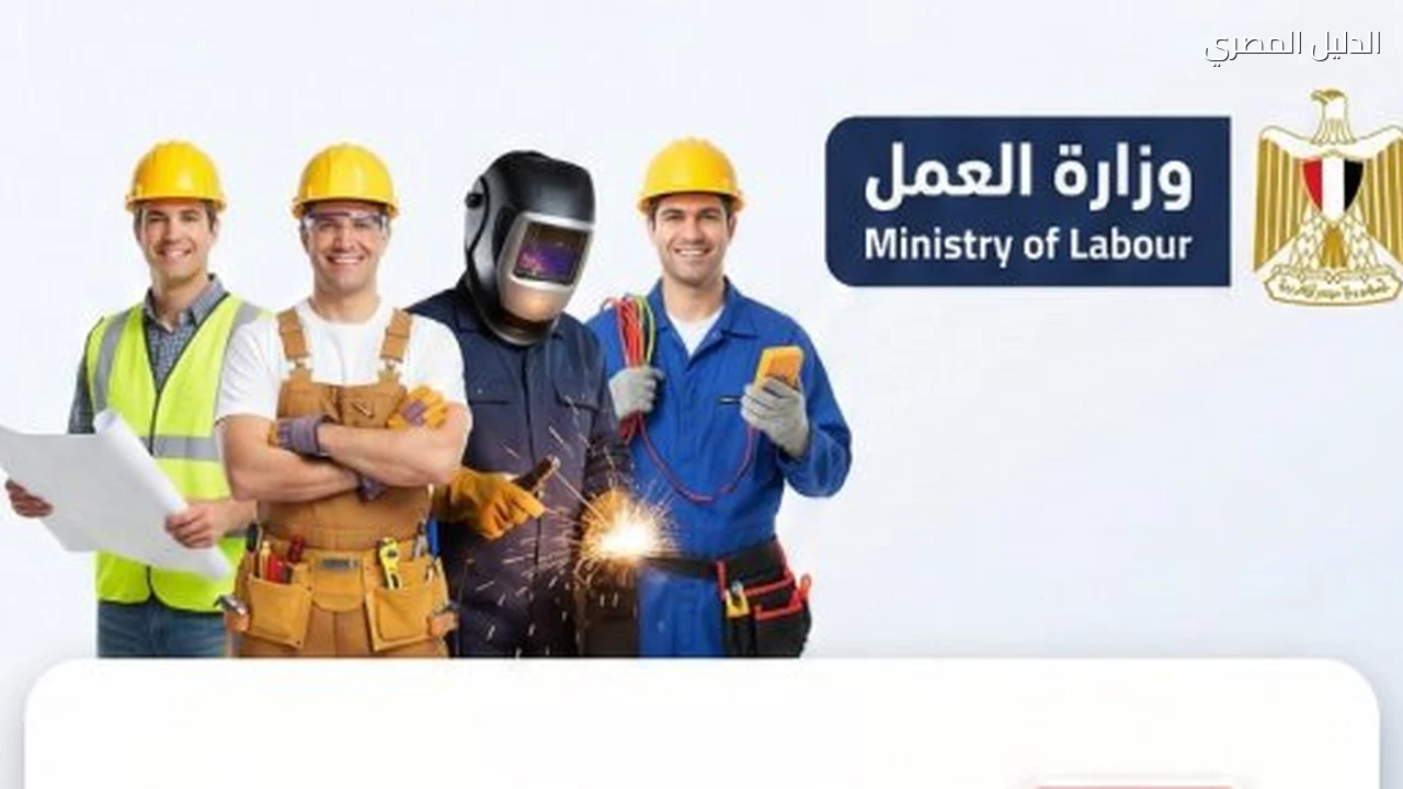 قدم الآن.. تفاصيل ومواعيد اختبارات 550 فرصة عمل لشباب الصعيد