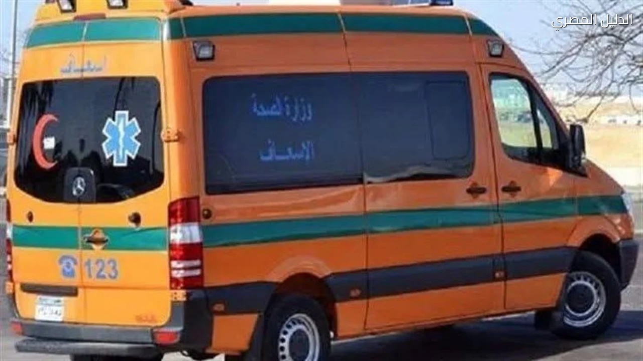 مصرع طفلة غرقا داخل حوض مياه بأرض زراعية بالواحات