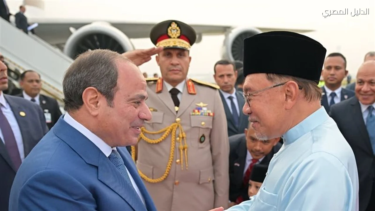 السيسي يبحث مع أنور إبراهيم تعزيز العلاقات في ماليزيا