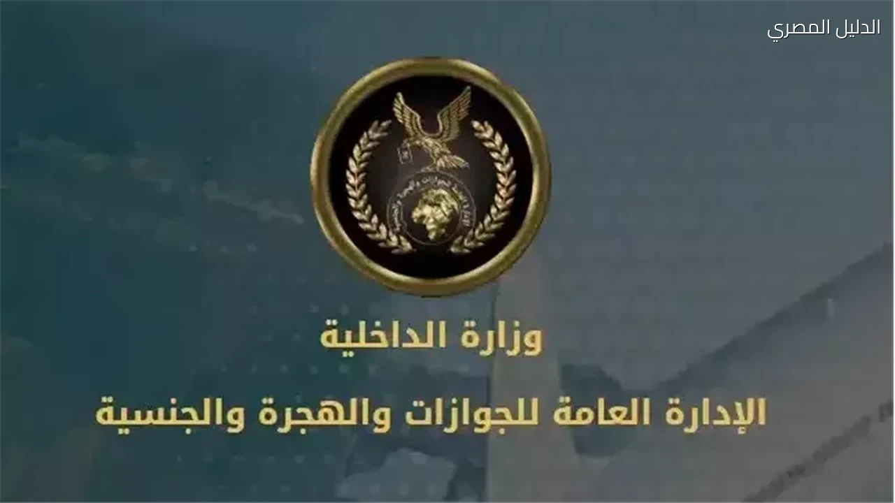 المهاجر المصري يحصل على مستحقاته التأمينية بهذه الشروط