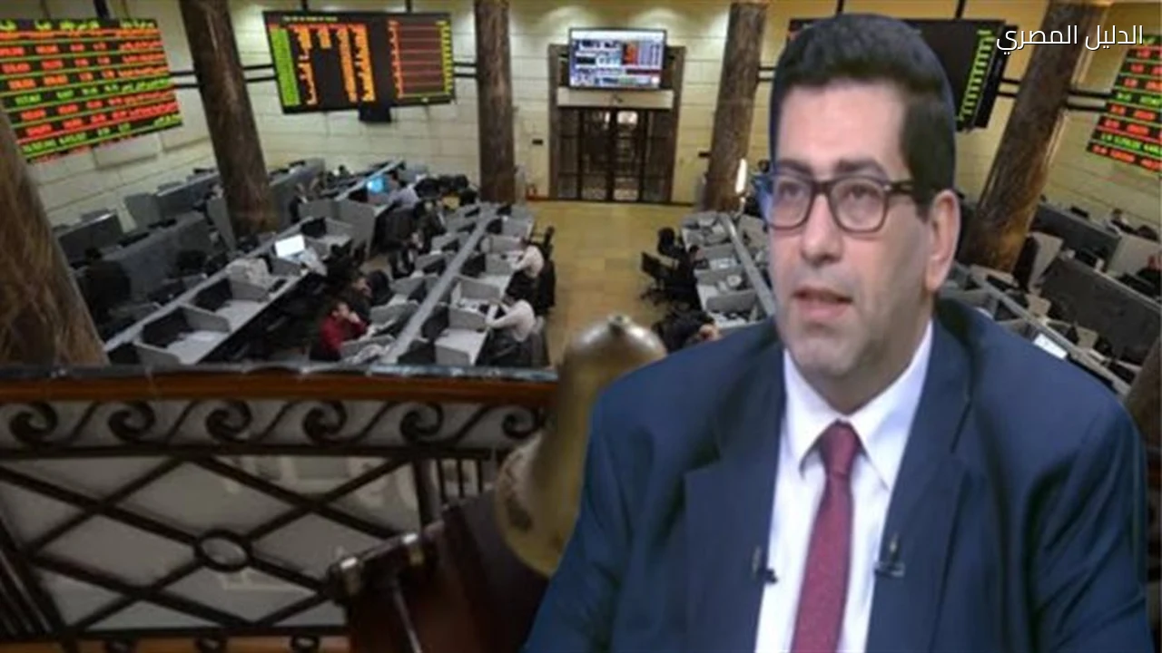 الطروحات الجديدة في البورصة كيف يستفيد المستثمرون الأفراد