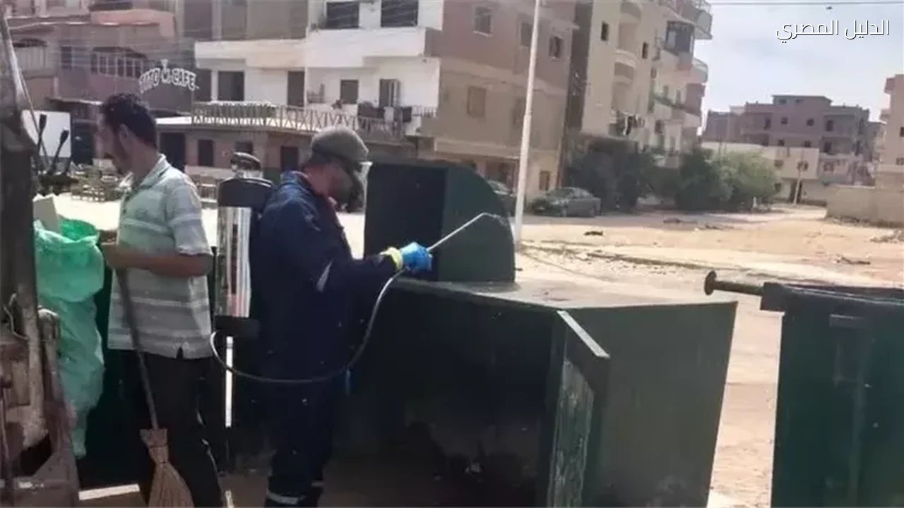 تطهير صناديق القمامة لأول مرة في فايد بالإسماعيلية