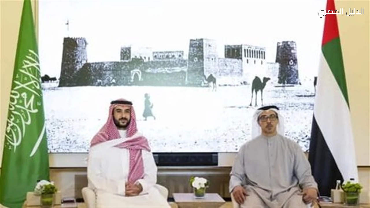 لقاء بين نائب الرئيس الإماراتي ووزير الدفاع السعودي لبحث تطورات المنطقة