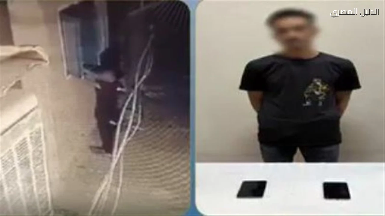 لص يتسلل إلى شقة ويسرق محمولين بأسوان وفيديو يقود لسقوطه
