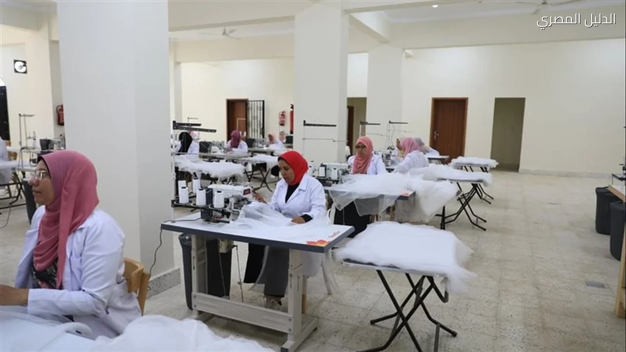 شكائر الزماط تبدأ الإنتاج في الوادي الجديد لدعم البلح