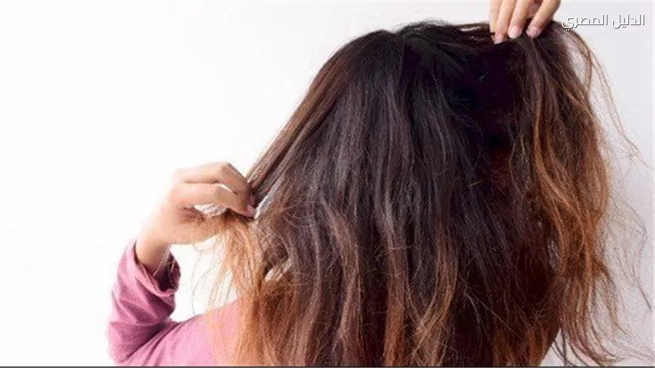 ماسكات طبيعية تعيد ترطيب الشعر بعد جفاف الصيف