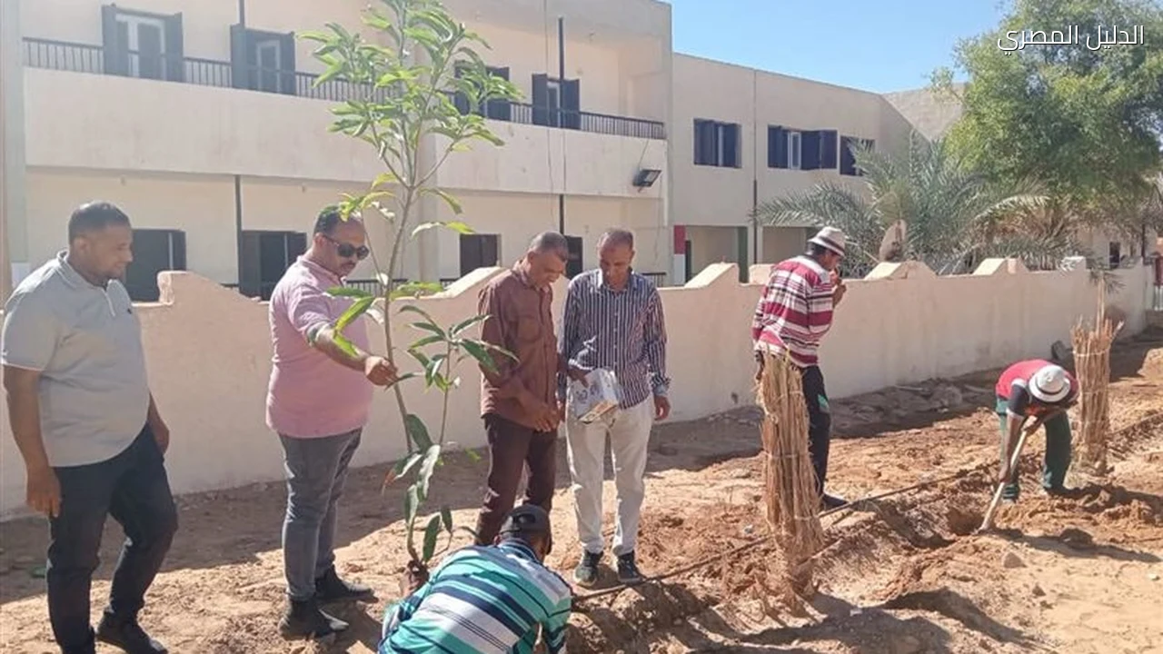 مبادرة اطلب شجرة تفتح باب التشجير في الداخلة