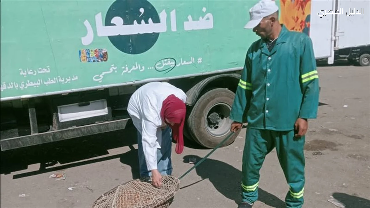 محافظ الدقهلية يتابع حملات مواجهة الكلاب الضالة في بلقاس
